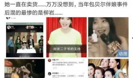 二线女星爆料视频播放网站,揭秘视频播放网站幕后真相