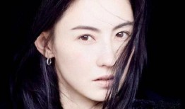 张柏芝爆料娱乐圈事件,真相与谎言的交织