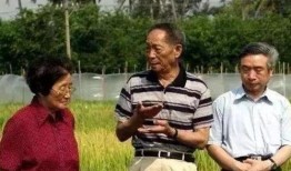 吃瓜爆料袁隆平视频播放,揭秘杂交水稻背后的故事